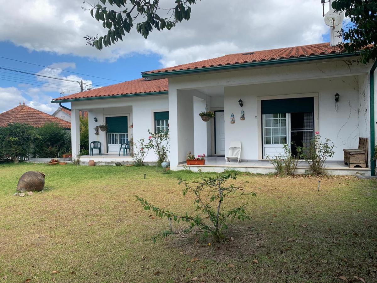 Casa Da Nespereira- Lugar Acolhedor Rodeado De Natureza Homestay